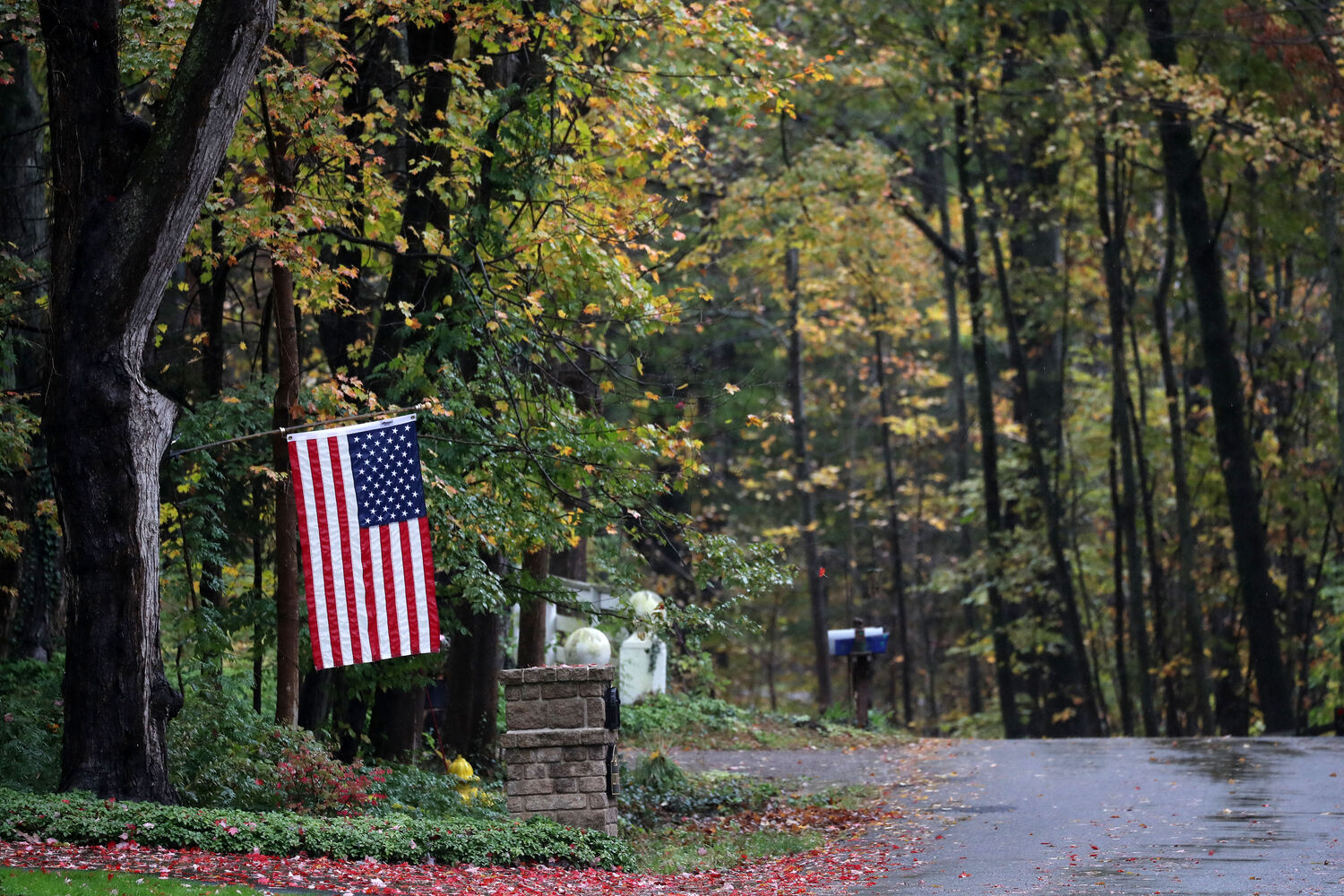 Flag in fall